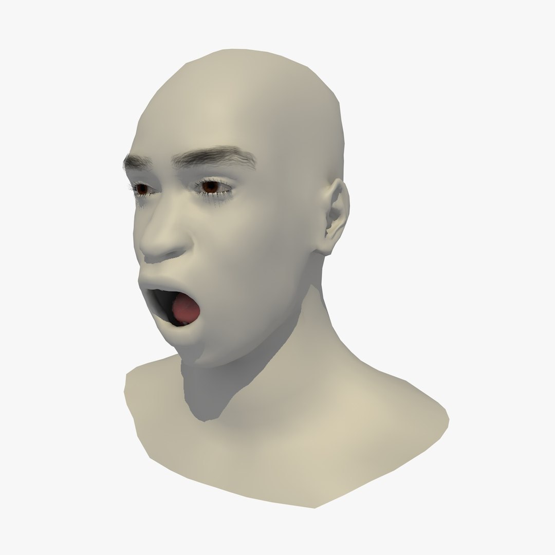 3D realistic head 24 year model https://p.turbosquid.com/ts-thumb/D3/YH2HMC/q3aUz8QD/24yrafricanmanhead1_0013/jpg/1566210023/1920x1080/fit_q87/3e1395e9d76356db0f92570c6cb58ee40cbb6f63/24yrafricanmanhead1_0013.jpg
