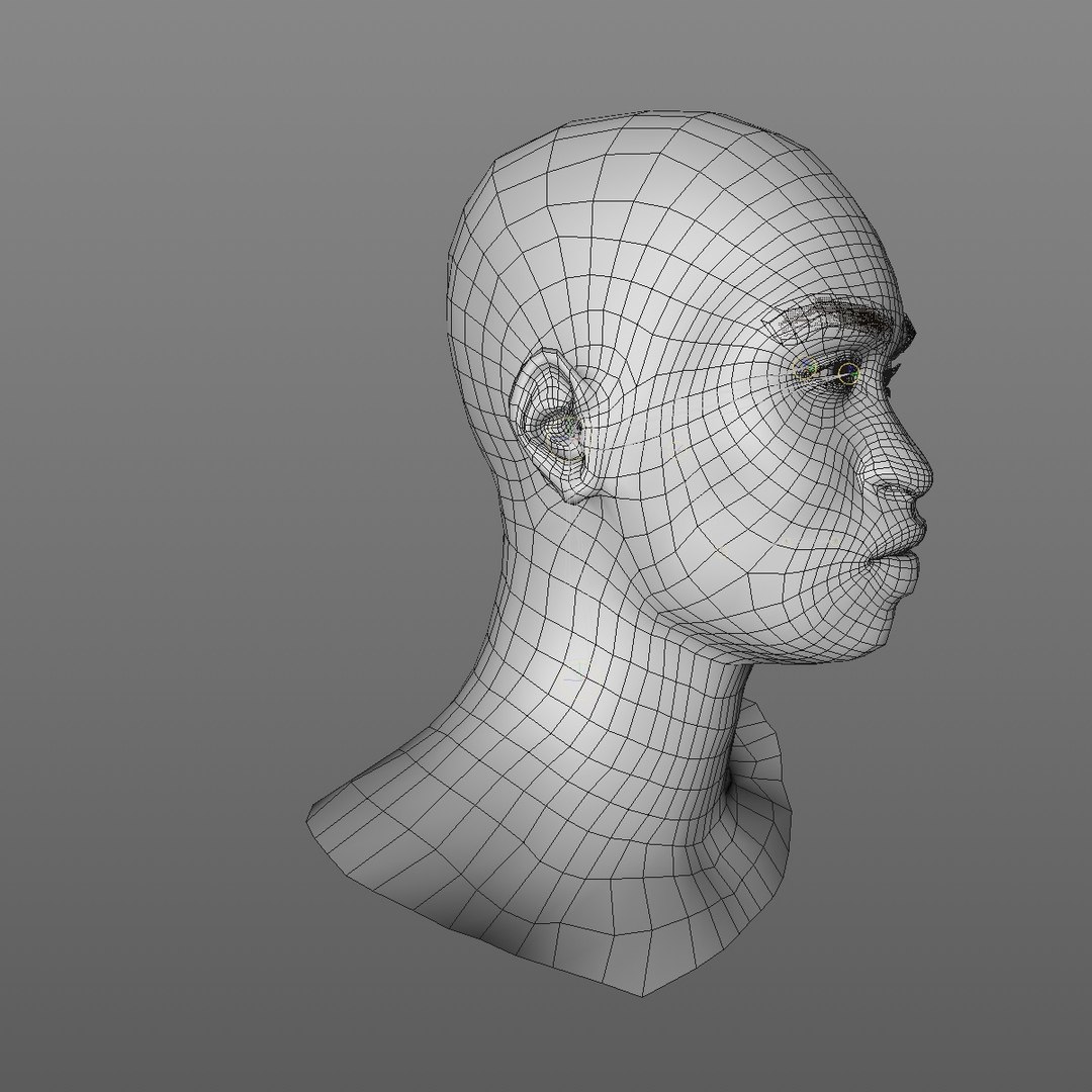 3D realistic head 24 year model https://p.turbosquid.com/ts-thumb/D3/YH2HMC/rpcDDSUQ/24yrafricanmanhead2_0010/jpg/1566210024/1920x1080/fit_q87/2738921146dc93cc2b9d7267e0693c65194ed88e/24yrafricanmanhead2_0010.jpg