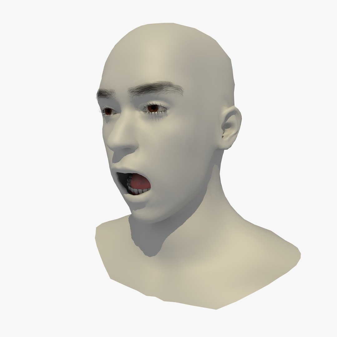 3D realistic head 24 year model https://p.turbosquid.com/ts-thumb/D3/YH2HMC/tJm63bdS/24yreuromanv1head1_0013/jpg/1566210163/1920x1080/fit_q87/614fdcf32a0f9cc91ce547be395913a8089540c8/24yreuromanv1head1_0013.jpg