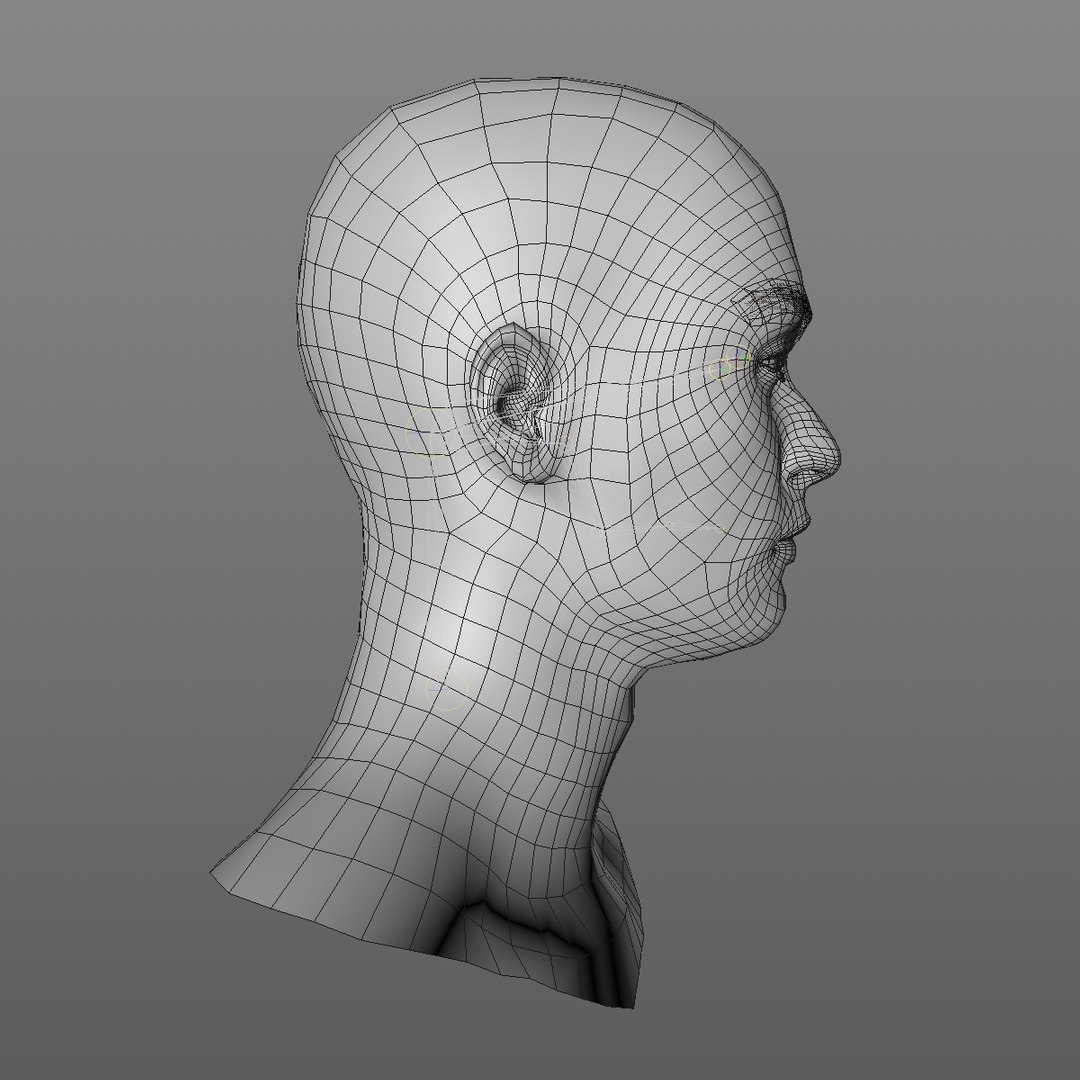 3D realistic head 24 year model https://p.turbosquid.com/ts-thumb/D3/YH2HMC/ti6T4XZZ/24yreuromanv1head2_0009/jpg/1566210164/1920x1080/fit_q87/a275284c82c8d80d533c6bd8c759bb03f5c2985f/24yreuromanv1head2_0009.jpg