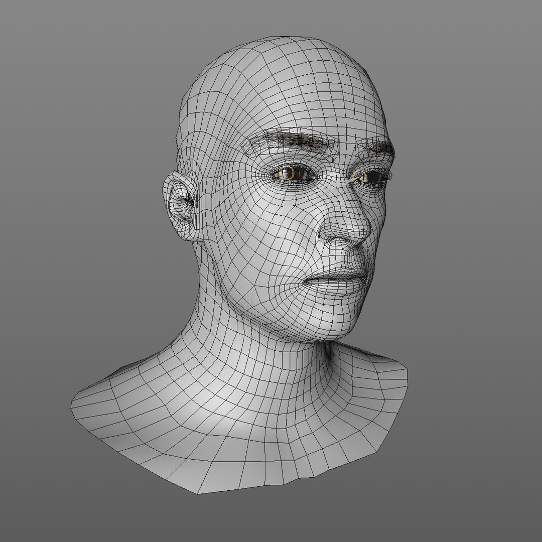 3D realistic head 24 year model https://p.turbosquid.com/ts-thumb/D3/YH2HMC/wgWZy91M/24yreuromanv1head2_0011/jpg/1566210164/1920x1080/fit_q87/5d2013d75a3d653b727e27171119f6025d7c2569/24yreuromanv1head2_0011.jpg