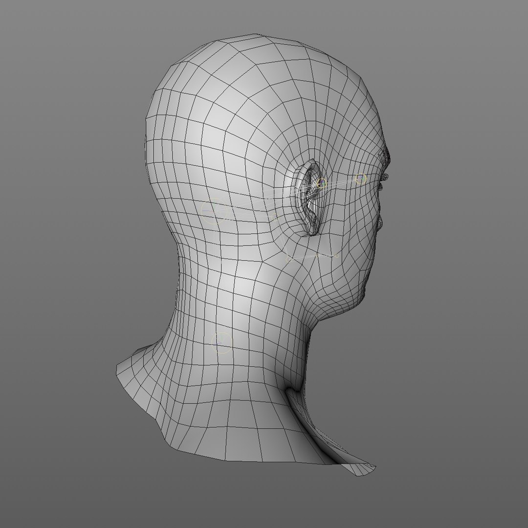 3D realistic head 24 year model https://p.turbosquid.com/ts-thumb/D3/YH2HMC/xrl8HrJu/24yreuromanv1head2_0008/jpg/1566210164/1920x1080/fit_q87/79ed87ebacfd2feacdff8741af4c2a0edbbccd73/24yreuromanv1head2_0008.jpg