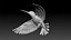 colibri hummingbird