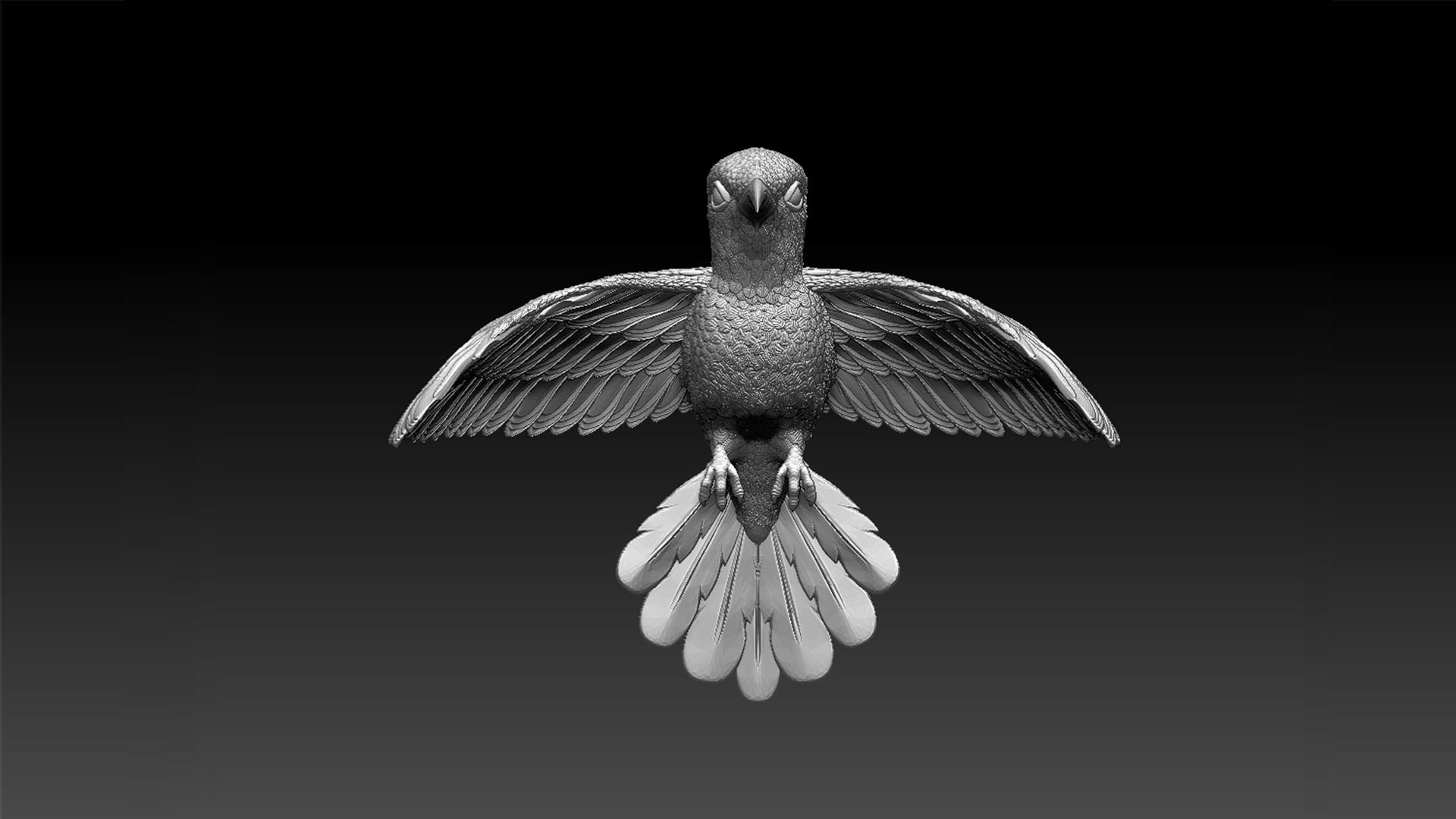 Colibri Hummingbird 3D Model - TurboSquid 1957578