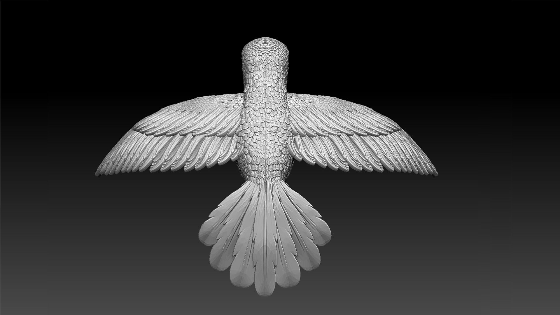 Colibri Hummingbird 3D Model - TurboSquid 1957578