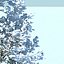 snowtree5