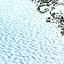 snowtree5