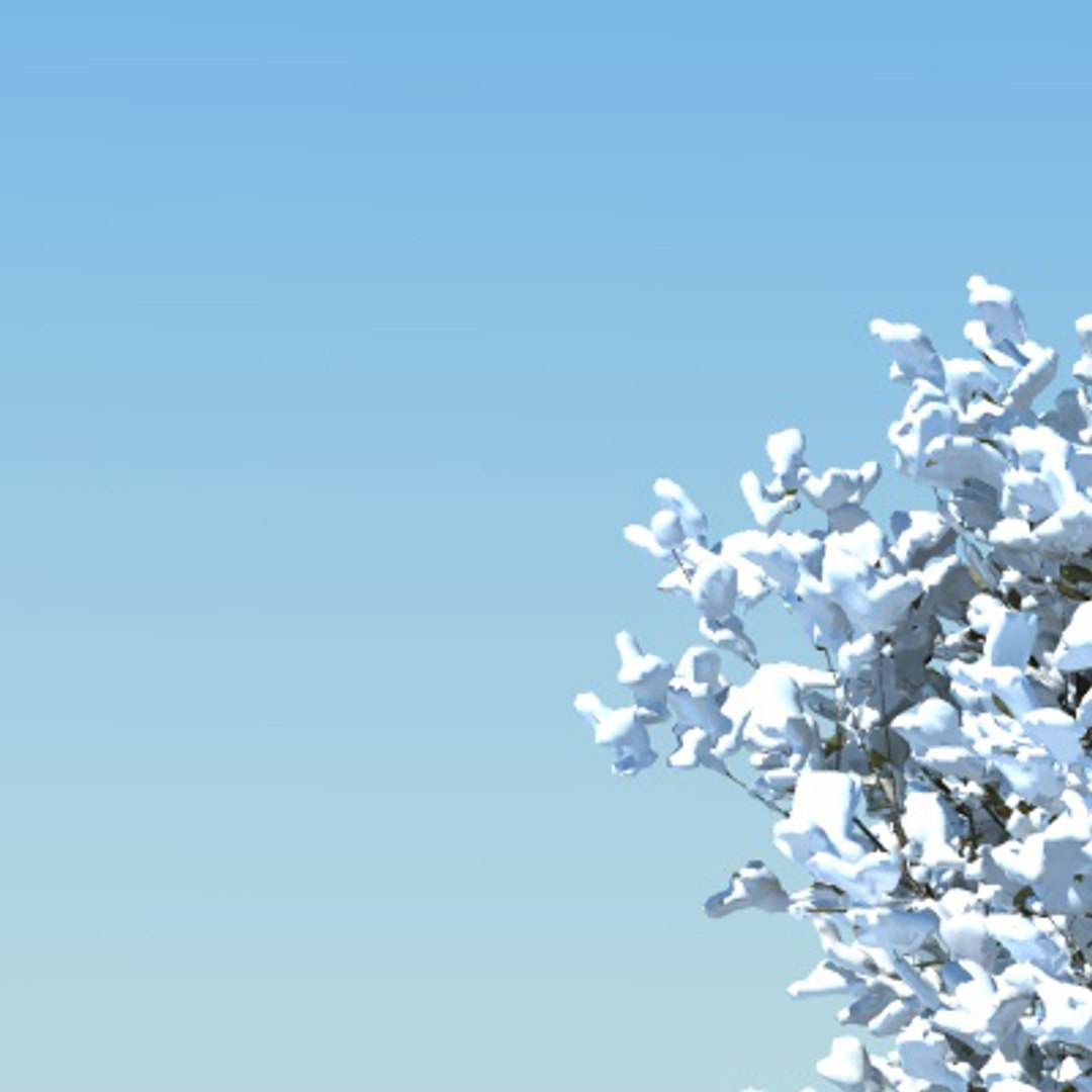 3d model snow tree https://p.turbosquid.com/ts-thumb/D3/dEaQBR/YMO742Qc/001snowtree5/jpg/1257948163/1920x1080/fit_q87/e8f36ac2300a0ac2dcef21a1b12027972c256204/001snowtree5.jpg