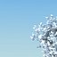 snowtree5