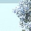 snowtree5