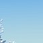 snowtree5