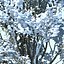 snowtree5