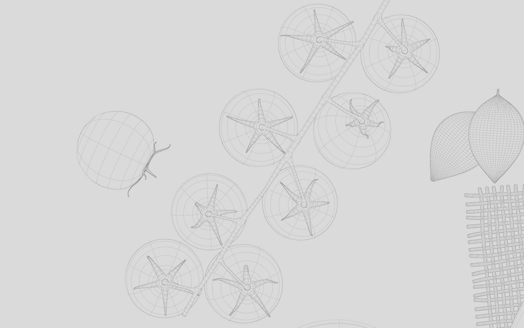 Pasta Plate 3d Scene 3D https://p.turbosquid.com/ts-thumb/D3/jlgshv/9s/pastaplatewireframe08/png/1743602947/1920x1080/fit_q87/0f5730972cb19c7968b5d7e8e0a19fdf3d7949a4/pastaplatewireframe08.jpg