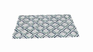 3D model rug