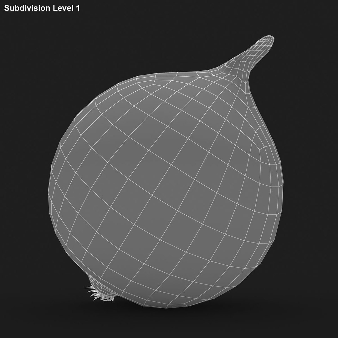 3d Model Onion Used
