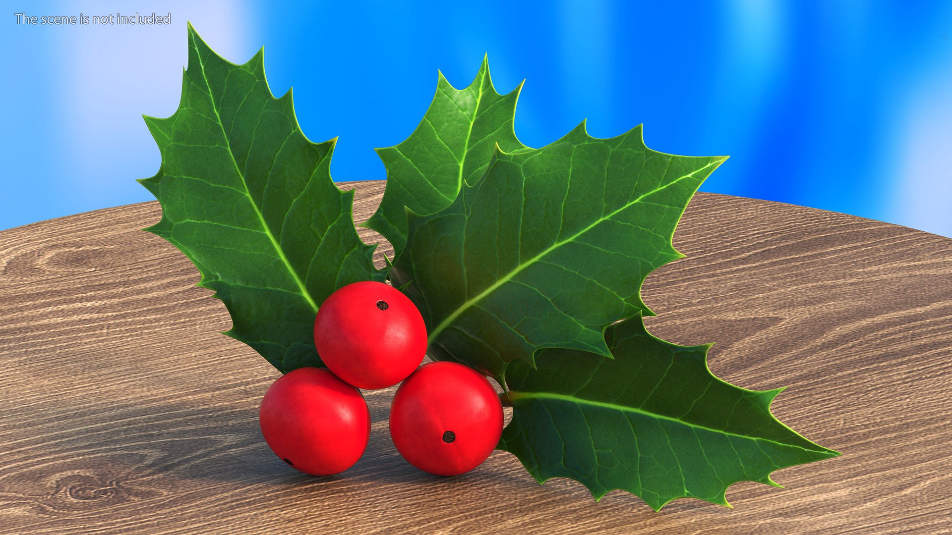 3D Isolated Holly Berry With Leaves https://p.turbosquid.com/ts-thumb/D3/mk7uN4/2g/isolatedhollyberrywithleaves3dsmodel003/jpg/1684958643/1920x1080/fit_q87/73290dd6cd6ddecbd7cf320a146f99d9e6e38db6/isolatedhollyberrywithleaves3dsmodel003.jpg