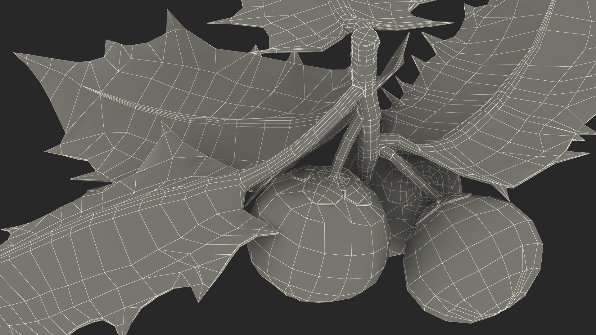 3D Isolated Holly Berry With Leaves https://p.turbosquid.com/ts-thumb/D3/mk7uN4/4j/isolatedhollyberrywithleaves3dsmodel030/jpg/1684958756/1920x1080/fit_q87/e916124dc1b41bee82a4d5c65eb8c489ab550436/isolatedhollyberrywithleaves3dsmodel030.jpg