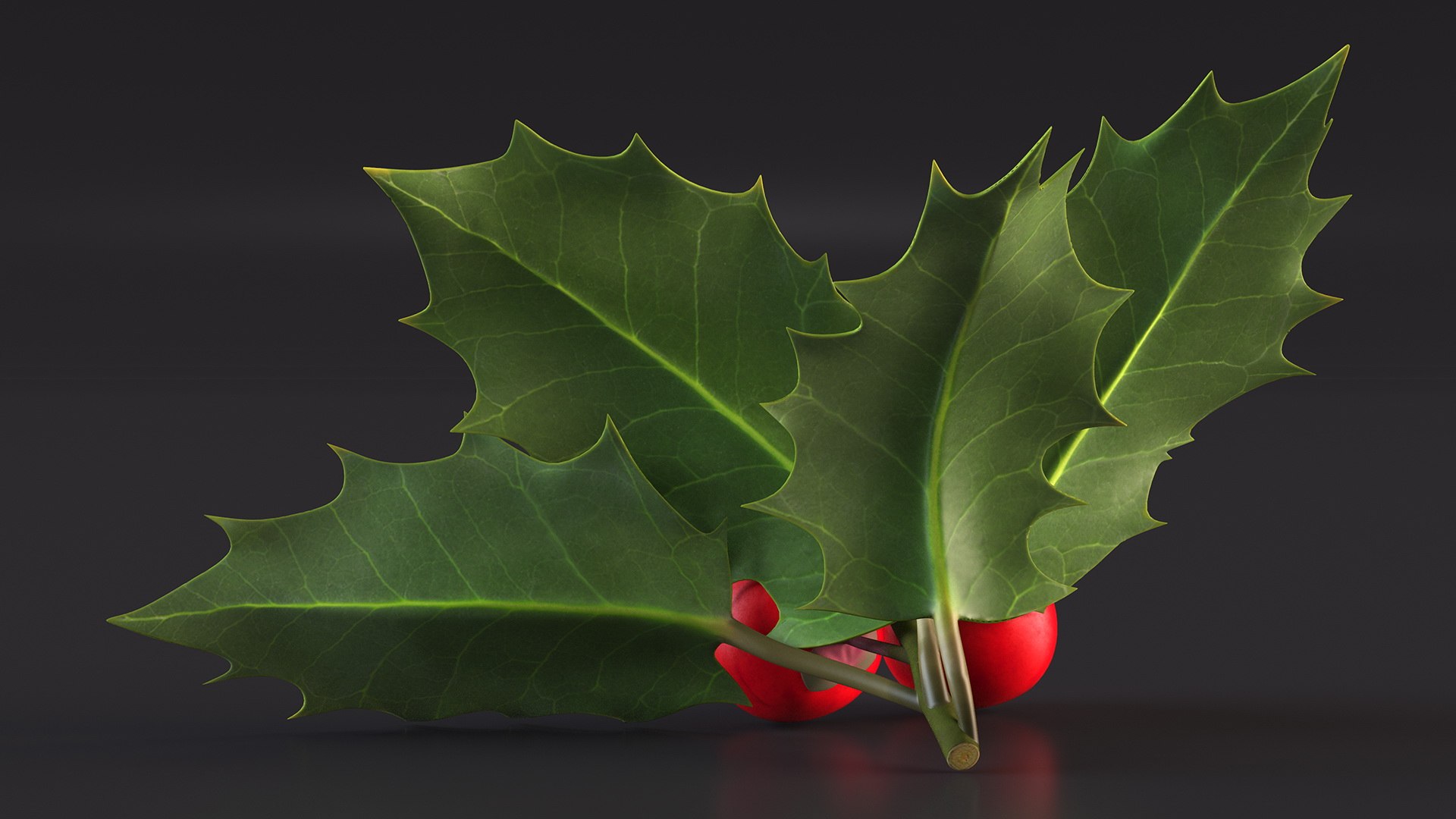 3D Isolated Holly Berry With Leaves https://p.turbosquid.com/ts-thumb/D3/mk7uN4/5c/isolatedhollyberrywithleaves3dsmodel008/jpg/1684958664/1920x1080/fit_q87/a7ee4546b2ccd7094992357ec3991ef43436fbe7/isolatedhollyberrywithleaves3dsmodel008.jpg
