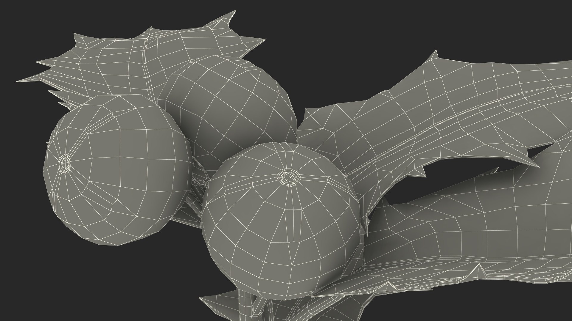 3D Isolated Holly Berry With Leaves https://p.turbosquid.com/ts-thumb/D3/mk7uN4/6d/isolatedhollyberrywithleaves3dsmodel029/jpg/1684958752/1920x1080/fit_q87/af8ec44c3763738af55f830f333c5865c684c610/isolatedhollyberrywithleaves3dsmodel029.jpg