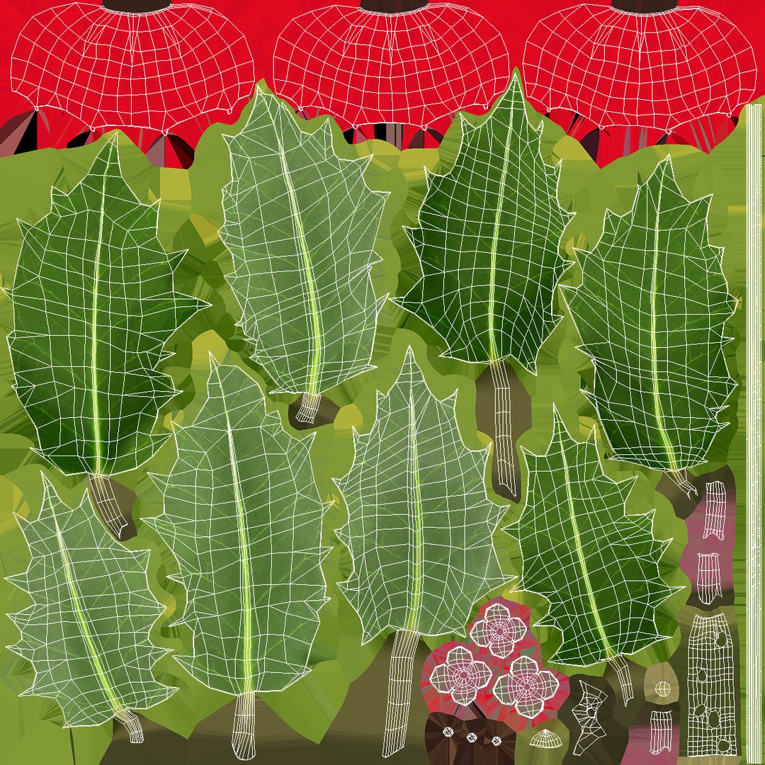 3D Isolated Holly Berry With Leaves https://p.turbosquid.com/ts-thumb/D3/mk7uN4/IK/isolatedhollyberrywithleaves3dsmodel019/jpg/1684958709/1920x1080/fit_q87/9cf39ec4299571916d36712bcadc327e7bc0d704/isolatedhollyberrywithleaves3dsmodel019.jpg