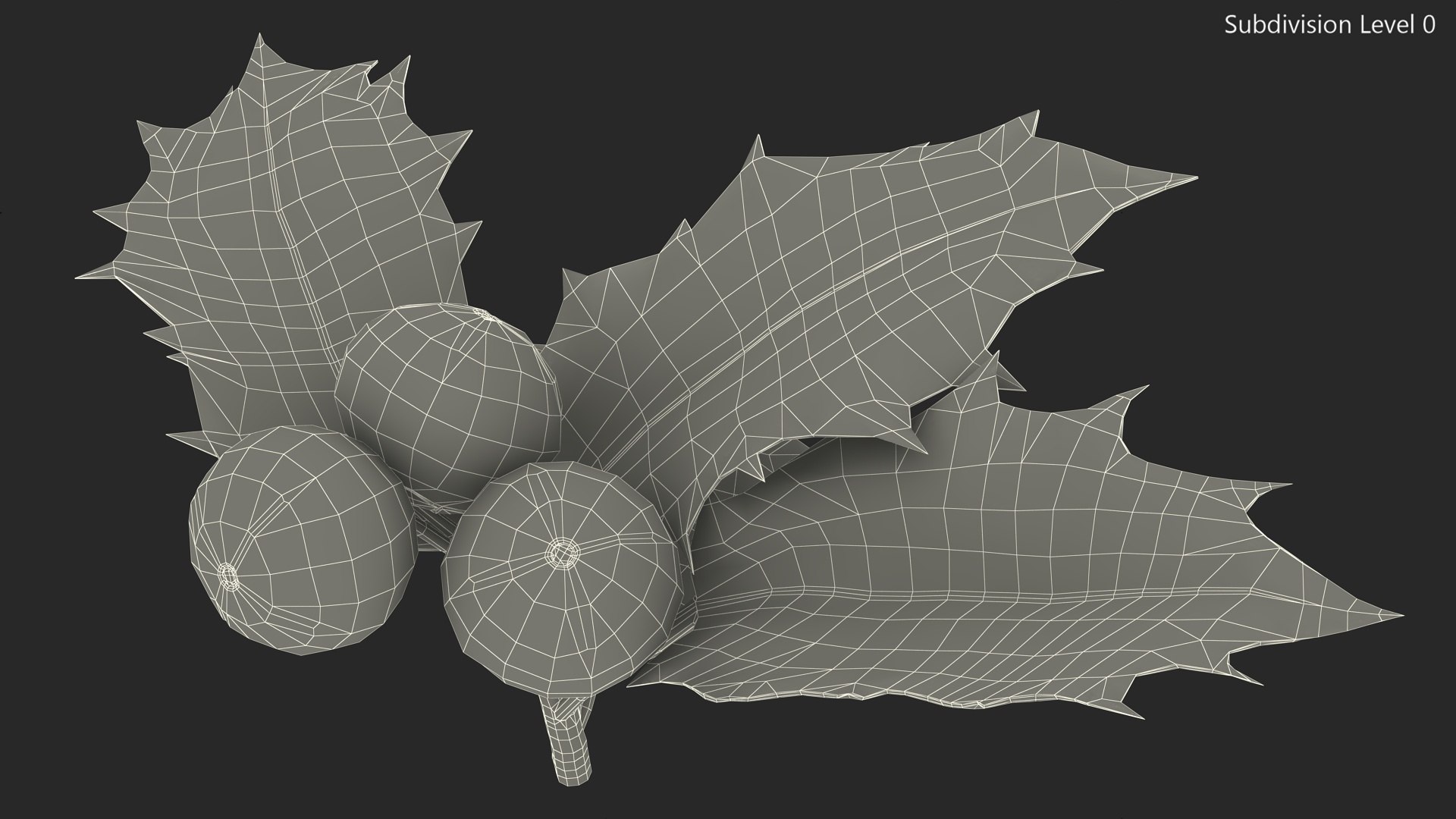 3D Isolated Holly Berry With Leaves https://p.turbosquid.com/ts-thumb/D3/mk7uN4/jV/isolatedhollyberrywithleaves3dsmodel017/jpg/1684958698/1920x1080/fit_q87/b08cfa8ba21855fe2d2e77fba67877aeb4f694fa/isolatedhollyberrywithleaves3dsmodel017.jpg