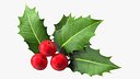 Isolated Holly Berry With Leaves