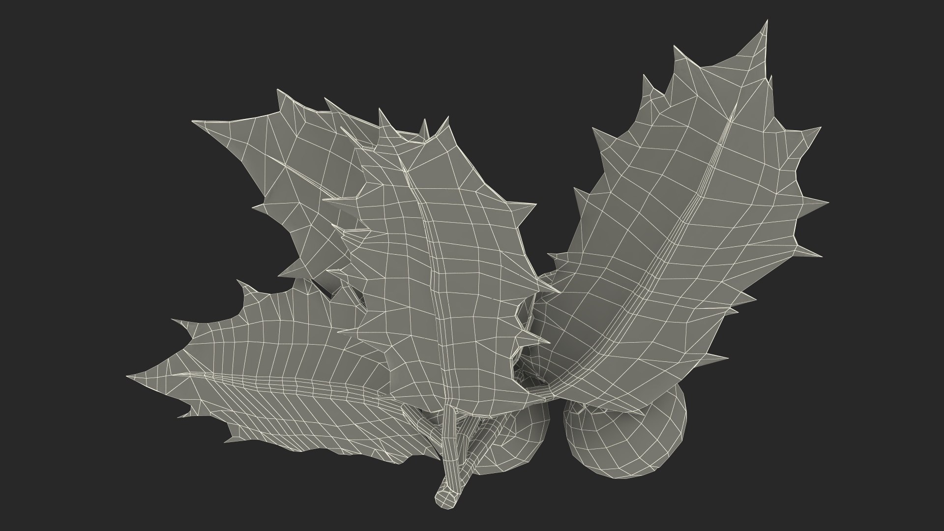 3D Isolated Holly Berry With Leaves https://p.turbosquid.com/ts-thumb/D3/mk7uN4/yQ/isolatedhollyberrywithleaves3dsmodel027/jpg/1684958744/1920x1080/fit_q87/dac1a3085f4dbdb9afc4369efb06c87e4decf55f/isolatedhollyberrywithleaves3dsmodel027.jpg