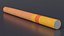 Cigar with Filter 3D model