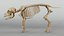 Piglet Skeleton