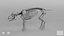 Piglet Skeleton