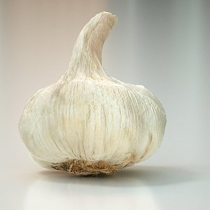 3d garlic food model