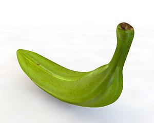 plantain 3D model