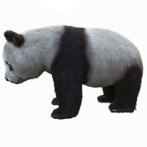 rigged panda bear fur model