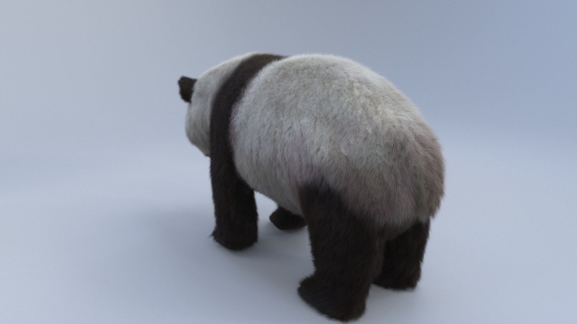 Rigged Panda Bear Fur Model Turbosquid 1343608