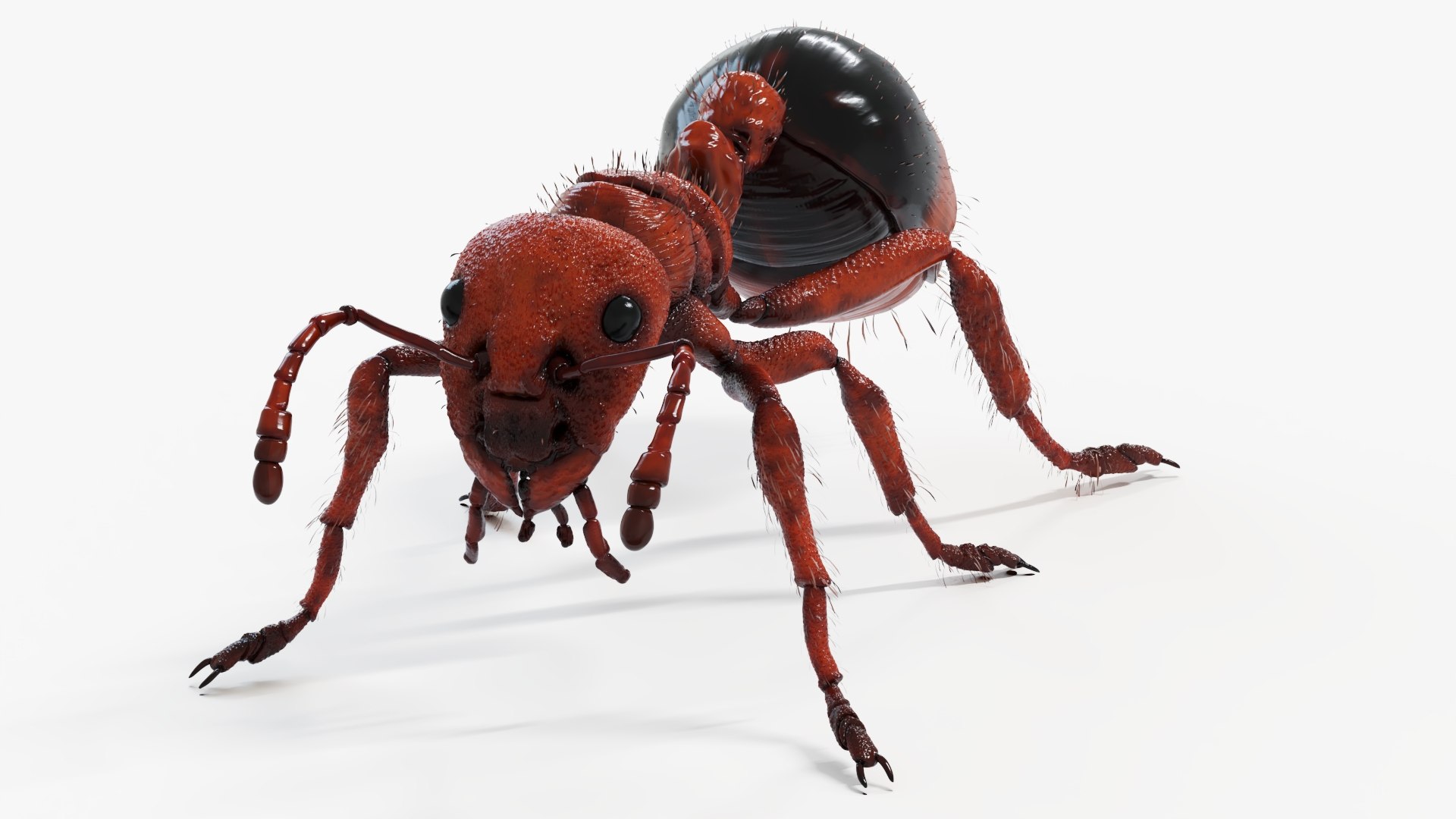 Red Ant Static 3D model https://p.turbosquid.com/ts-thumb/D4/7uozUm/ab/redant_productshot4/jpg/1672660909/1920x1080/fit_q87/070ed249d0ef7b734e30de6cae01188a5301f9ee/redant_productshot4.jpg