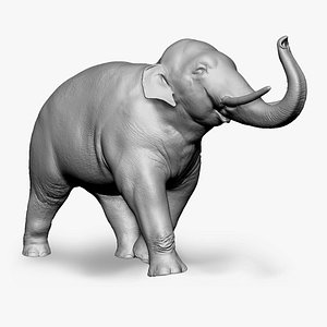 Asian Elephant - Figurine 3D model