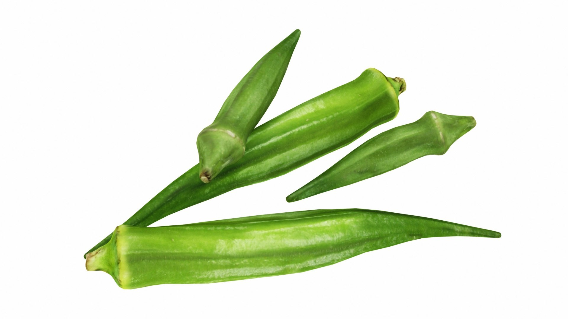 Leafy and Shrub Vegetables 3D https://p.turbosquid.com/ts-thumb/D4/EnpsG2/Ht/0okta2/jpg/1768775392/1920x1080/fit_q87/153f512579d6551e6bc7056901f11bec53b52a40/0okta2.jpg