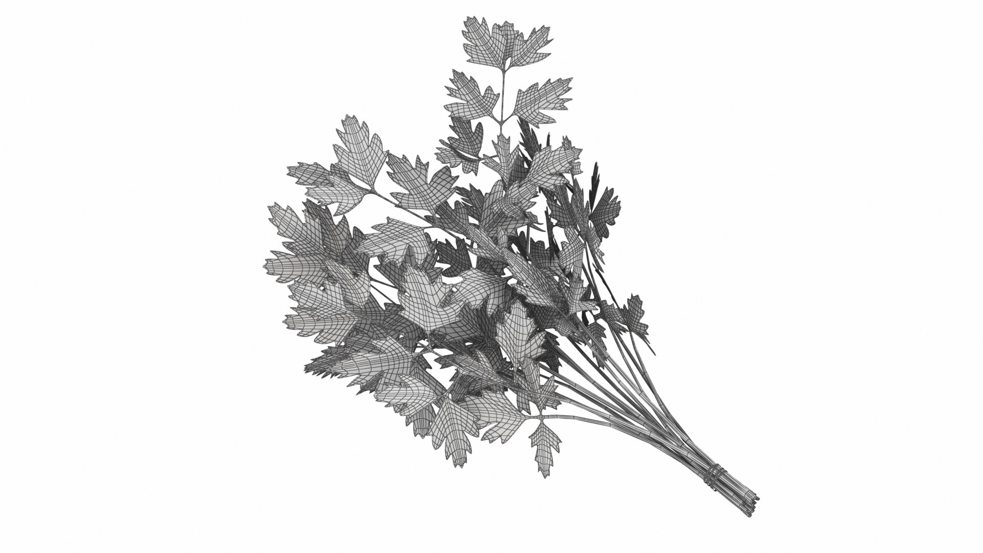 Leafy and Shrub Vegetables 3D https://p.turbosquid.com/ts-thumb/D4/EnpsG2/ZP/parsleybunch8/jpg/1768775468/1920x1080/fit_q87/bf40edcc5247dbb0366e50b05c8560508cca54f7/parsleybunch8.jpg