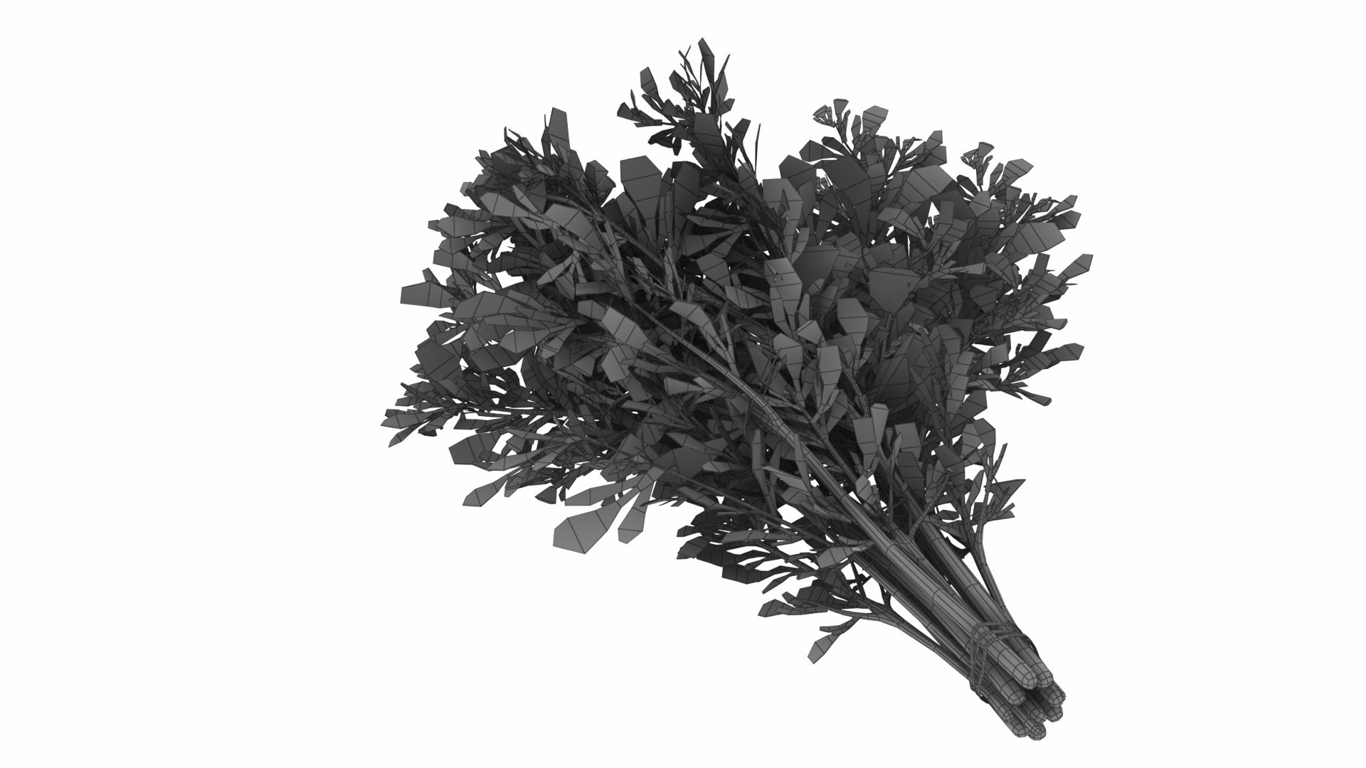 Leafy and Shrub Vegetables 3D https://p.turbosquid.com/ts-thumb/D4/EnpsG2/nK/dillbunch6/jpg/1768775466/1920x1080/fit_q87/04f02686347a42bf68501156cfbb906aeae2afb8/dillbunch6.jpg