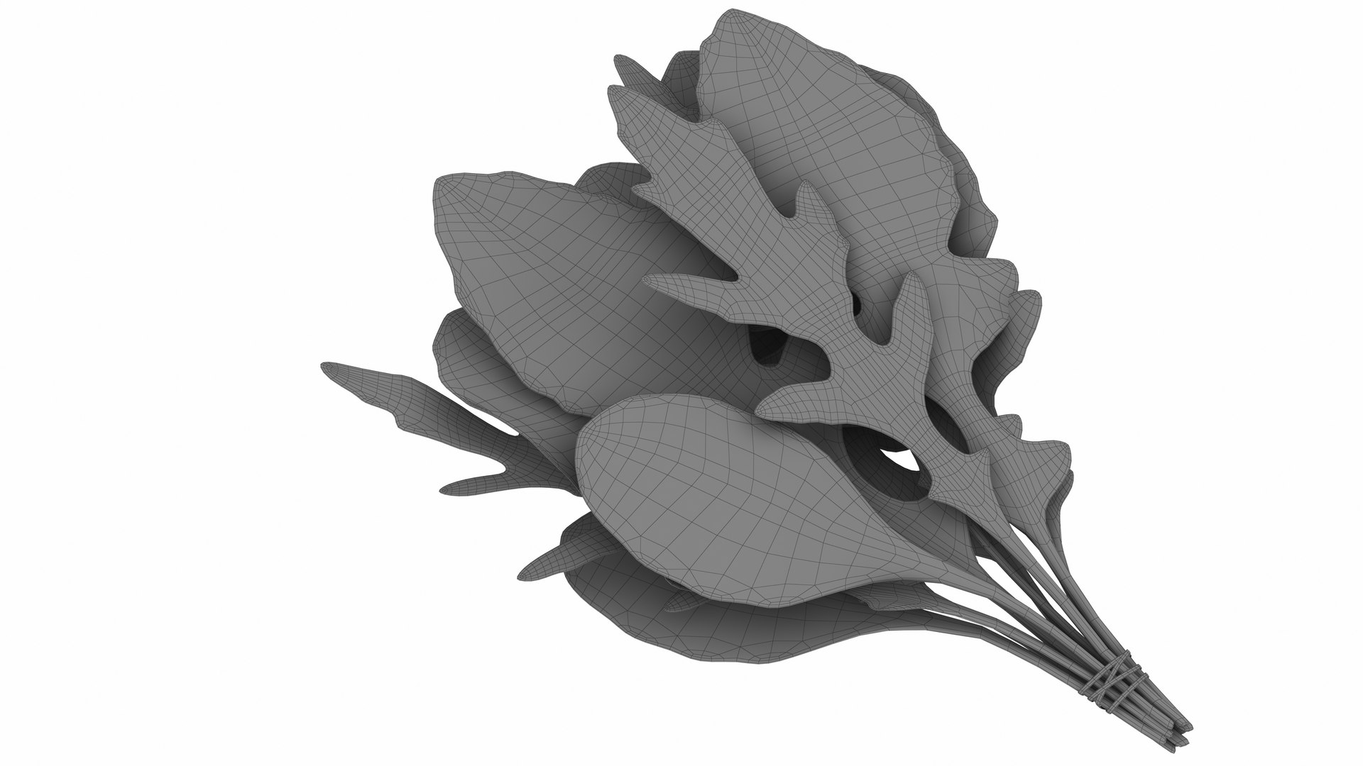 Leafy and Shrub Vegetables 3D https://p.turbosquid.com/ts-thumb/D4/EnpsG2/rN/arugulabunch7/jpg/1768775468/1920x1080/fit_q87/dfae606cc71be0300e8c936b49237b3dc3ae67a1/arugulabunch7.jpg