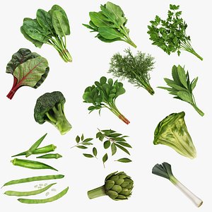 Leafy and Shrub Vegetables 3D