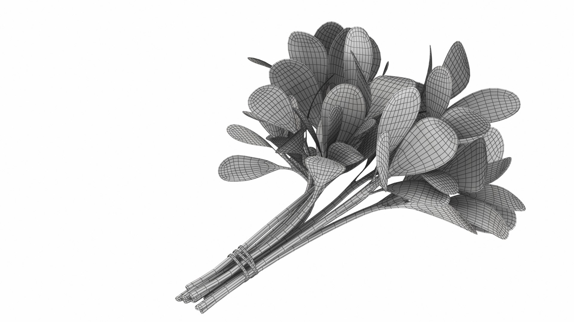 Leafy and Shrub Vegetables 3D https://p.turbosquid.com/ts-thumb/D4/EnpsG2/wq/purslanebunch8/jpg/1768775469/1920x1080/fit_q87/5528a72251074b2b772a23b01b7aa020c5286279/purslanebunch8.jpg
