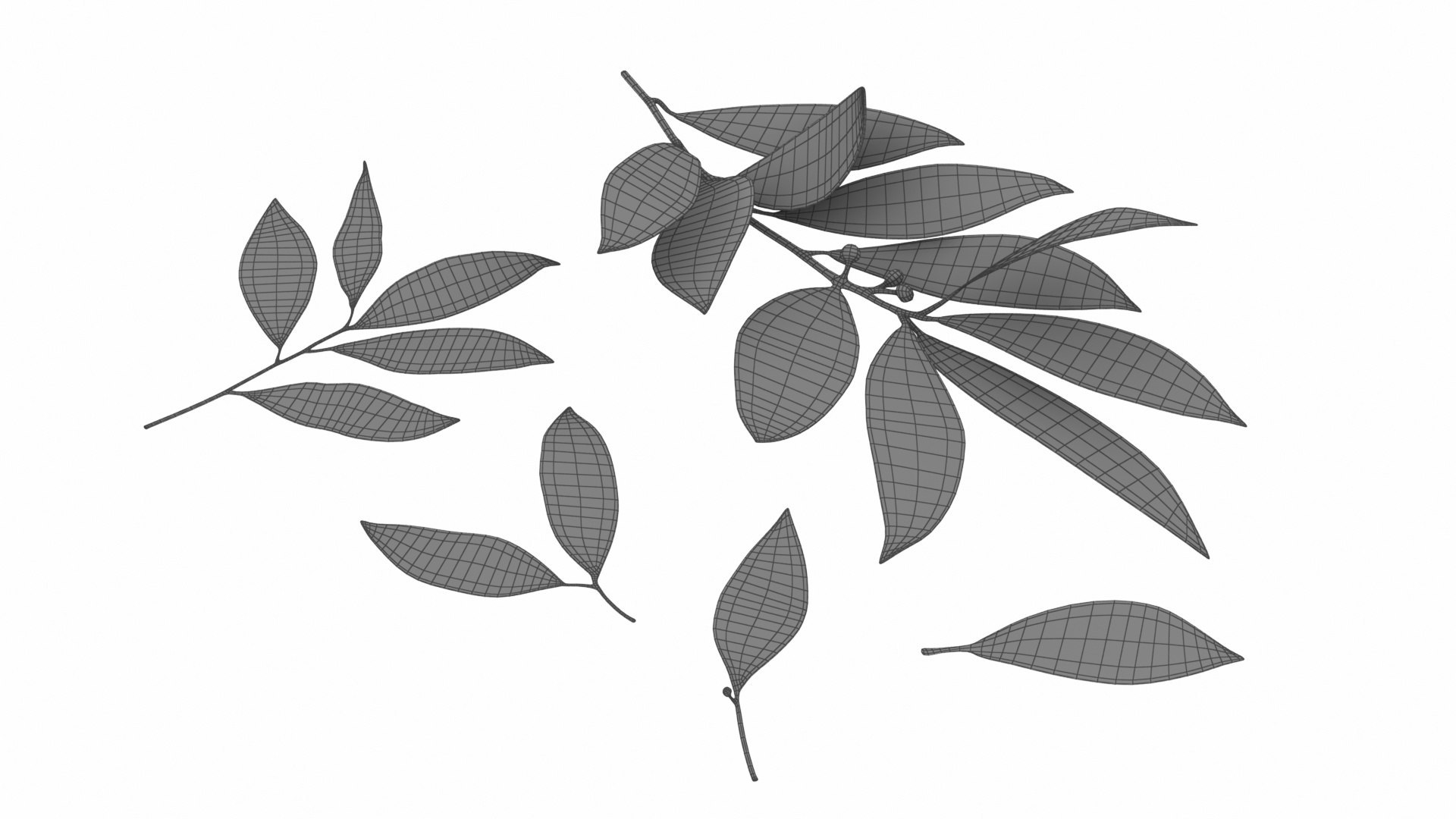 Leafy and Shrub Vegetables 3D https://p.turbosquid.com/ts-thumb/D4/EnpsG2/xg/laurelleaf8/jpg/1768775527/1920x1080/fit_q87/2716b961fc3c145e356b2a833b4bbef296a67432/laurelleaf8.jpg