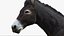 3D model Donkey Rigged 3D