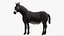 3D model Donkey Rigged 3D