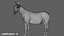 3D model Donkey Rigged 3D