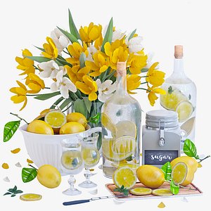 3D model decorative set lemons