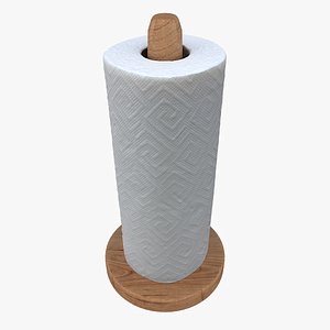 Paper Towel Roll on Holder 02