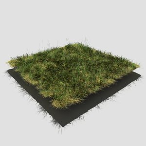 meadow patch bloodwort 3D