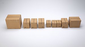 3D Cardboard Box